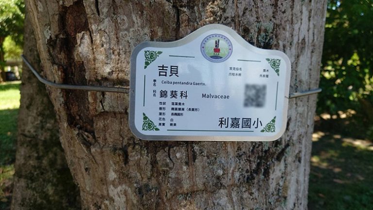 二维码树牌:守护古树名木的新方式-码智作